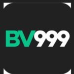 BV999 Game