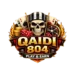 Qaidi 804