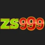ZS999