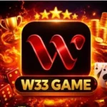W33 Game