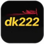 DK222 Game