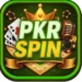 PKRSPIN