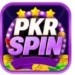 PKRSPIN Game