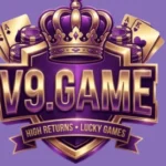 V9 Game